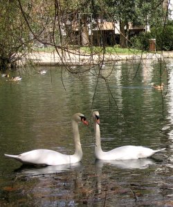 PARC THERMAL - LUCHON